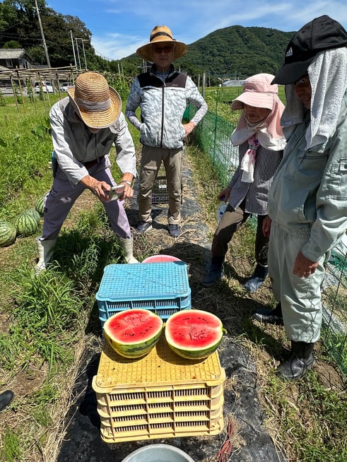 赤くて美味しそう！