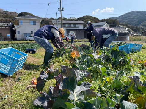 雑草もたくさんあるんで、中腰の状態が続きます～