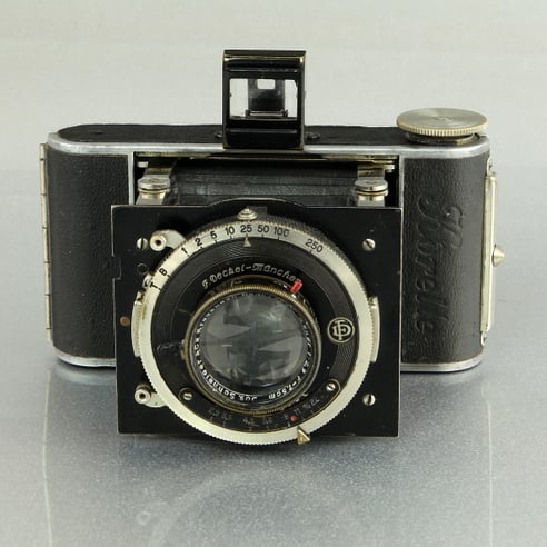 Korelle  ©  engel-art.ch