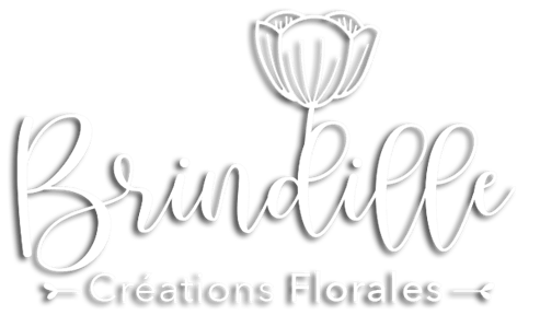 fleuriste Bazas Sud Gironde : Brindille fleurs