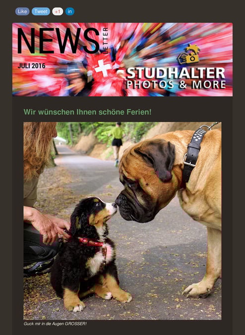 KLICK FÜR DEN NEWSLETTER JULI 2016