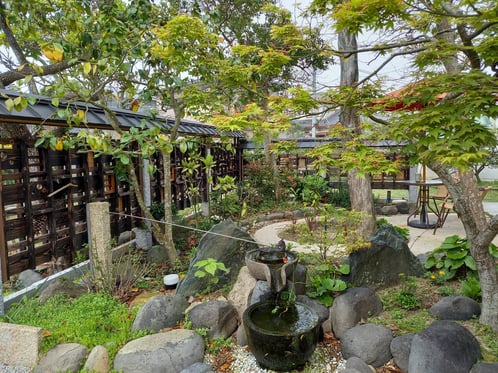 新緑が勢いよく・・・。