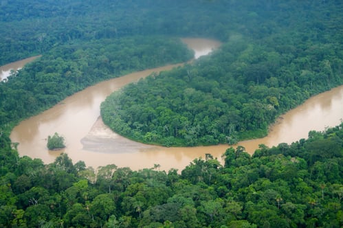 REISE IN DEN ECUADORIANISCHEN AMAZONAS