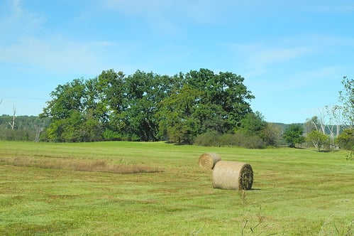 Der Niederbichl (Foto: Horst Guckelsberger)