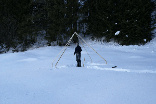 Die Entstehung des PYLOO.