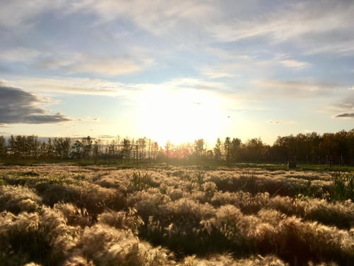 One of the helpers sent me this photo " I sure hope you guys enjoy the view as much as I do!"