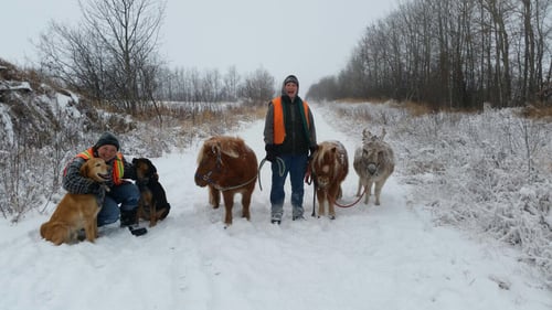 Everyone got to go for a walk, even Dharma who is not impressed.