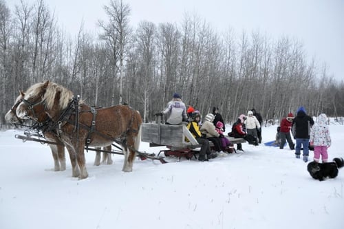 New Year sleigh ride at Millars