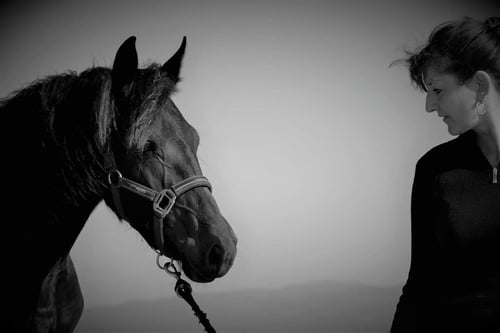 Martine et les chevaux 