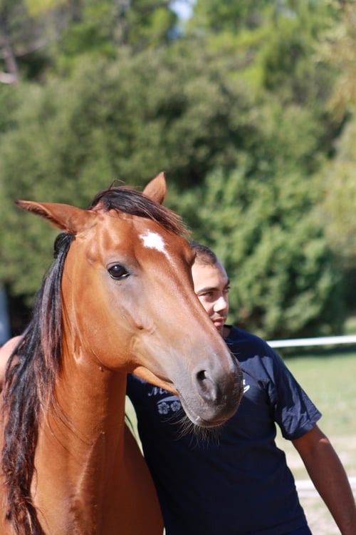 dernière séance du défi