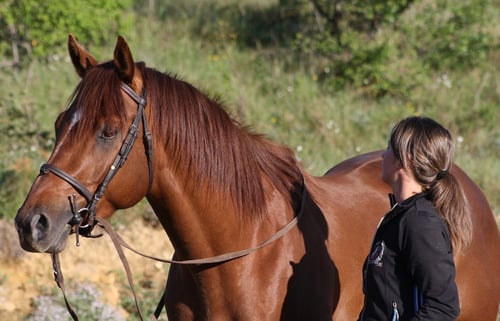  pauline et Croccus d'eldieu,