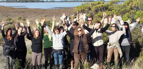 voyage camargue novembre 2014