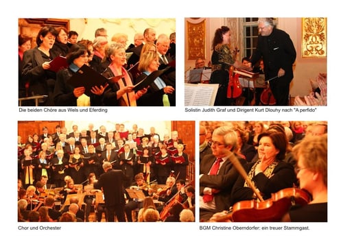 28. März 2015: Große Messe in C - einige Details           (Fotos: Edith Kiniger)