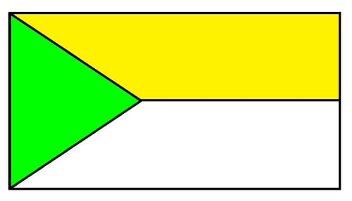 Bandera Institución