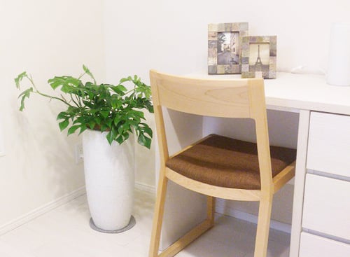 特中鉢：モデルルーム設置