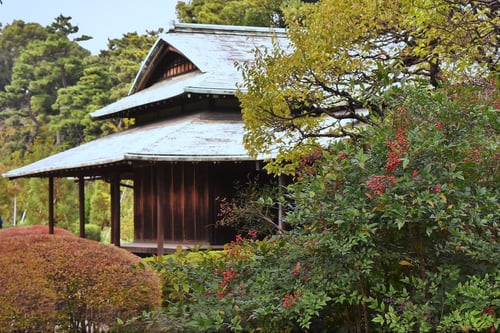 南天の木,なんてん,ナンテン