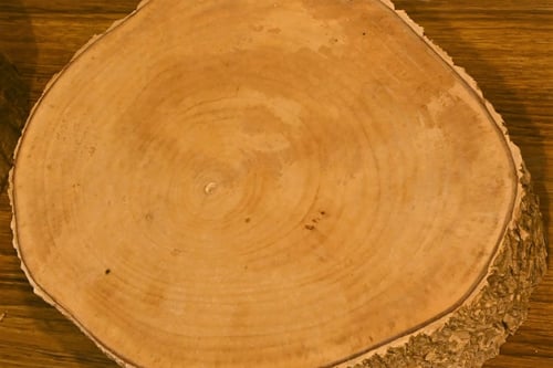 とちのき,材木,トチノキ