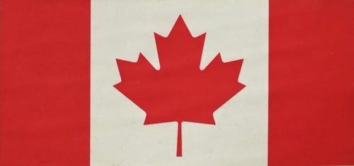 カナダ国旗の葉は何の木か
