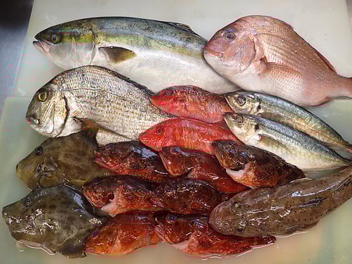 寿司　出前　渋谷区　デリバリー