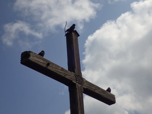 ...und drei andere schräge Vögel über uns am Gipfelkreuz.