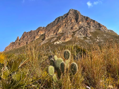 2022/03: Monte Cofano (IT/Sizilien/Custonaci)