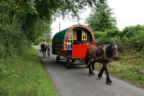 Und los geht's. Zugpferd Tuffy in den Zügeln von Luca. Dahinter Emilia reitend auf Dan geführt von Tanja.