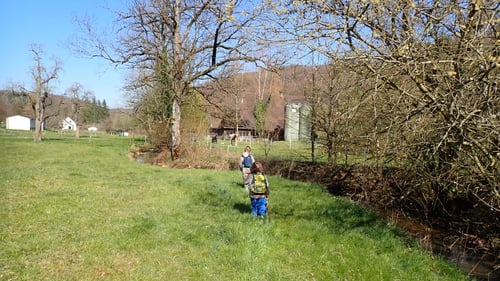 Ab und zu versperrten uns dichte Gebüsche und Dornengewächse den Weg durch das Wasser.