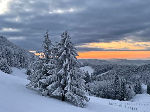 2021/01: Stierenberg (CH/BL)
