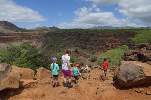 Abstieg ins grüne Ribeira Grande