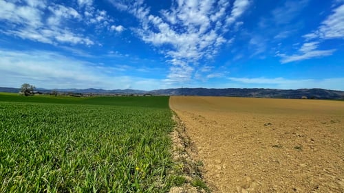 2021/04: "50/50" (CH/AG)