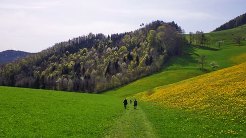 Auf dem Weg zurück in die Tüfelschlucht.