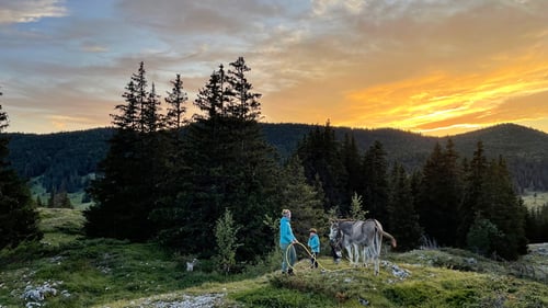 2021:/08: Abendstimmung im Nationalpark von Vercors (F/ARA/Darbounouse)