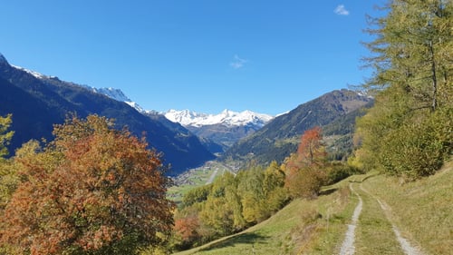 Bestes Herbstwetter :-)