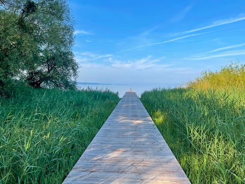 2021/05: Lac de Neuchâtel (CH/BE/Gampelen)