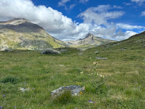 Gegen Tagesende setzte sich zu unserer Freude doch noch die Sonne durch.