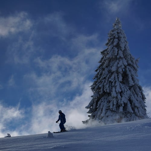 ...den Tag geniessen.