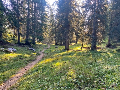 Unterwegs auf schmalen Pfaden.