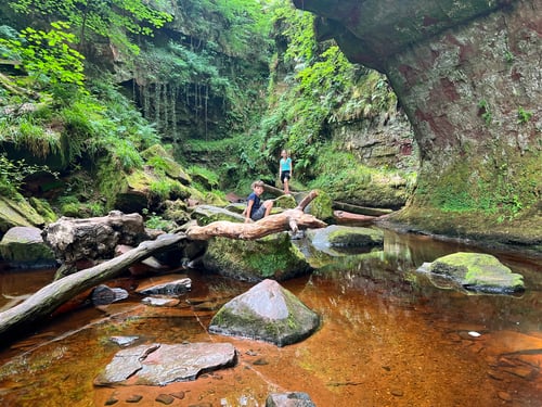 2022/07: In der Schlucht von Finnich Glen (SCO)
