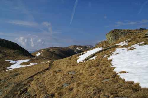 Faszinierende Farbkombinationen