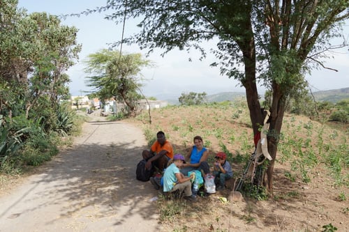 Mittagspause im Schatten...