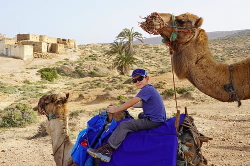 Die Karawane zieht weiter...