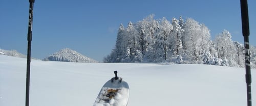 Unberührtes, weisses Pulver – Eine Pracht!