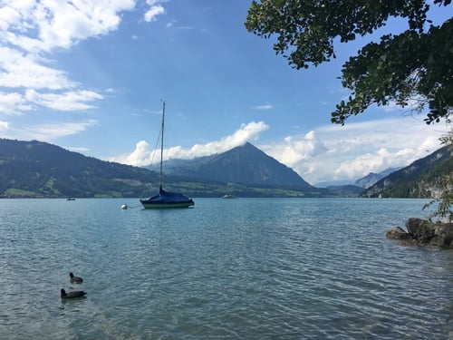 Picknick am Thunersee
