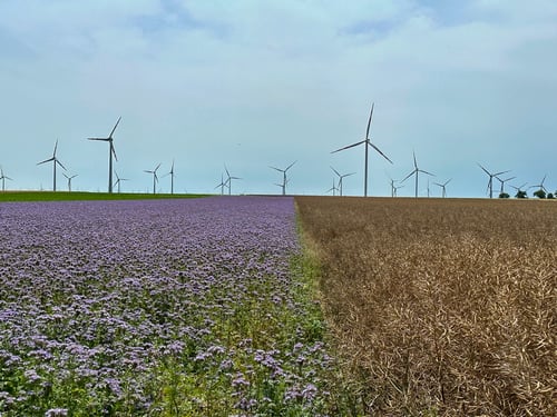 2024/06: Land- und Energiewirtschaft (A/Niederösterreich)