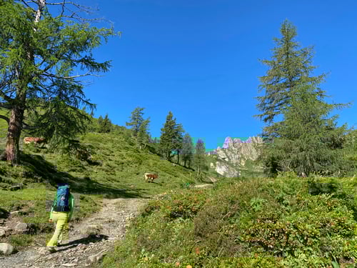 2020/07: Auf dem Weg zur Arlspitze (Bildmitte) im Grossarltal (A/SL)