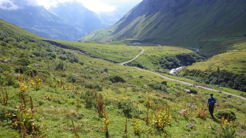 Endlich wieder auf dem Wanderweg, welcher zurück nach Stäfeli führt.