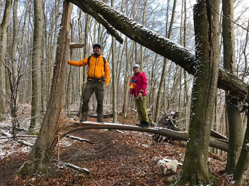 2021/01: Luna muss mal Gassi-Gehen. Wolfmatt. (CH/SO)