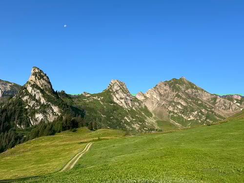 2024/07: Älpler, Maisander und Hoh Brisen (CH/UR/Chneuwis)