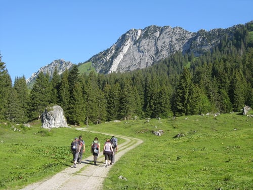 Auf dem Weg zur Kalkwand des Brügglers (im Hintergrund)