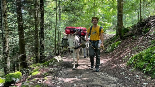 2021:/08: Eseltrekking im Nationalpark von Vercors (F/ARA)